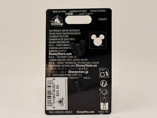 2026 Disneyland Magic Key Exclusive Minnie Mouse Eyeconic Park Views Pin